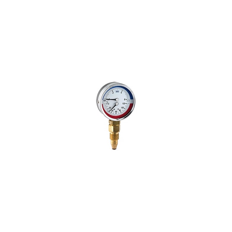 Manotermómetro de 0-6 bar/0-120°C Ø80 1/2 | Hecapo