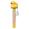 Termómetro pato amarillo | AstralPool