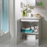 Bombeador Sanishower para aguas sucias | SFA