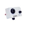 Bitermostato de inmersión vaina 100 mm | Watts